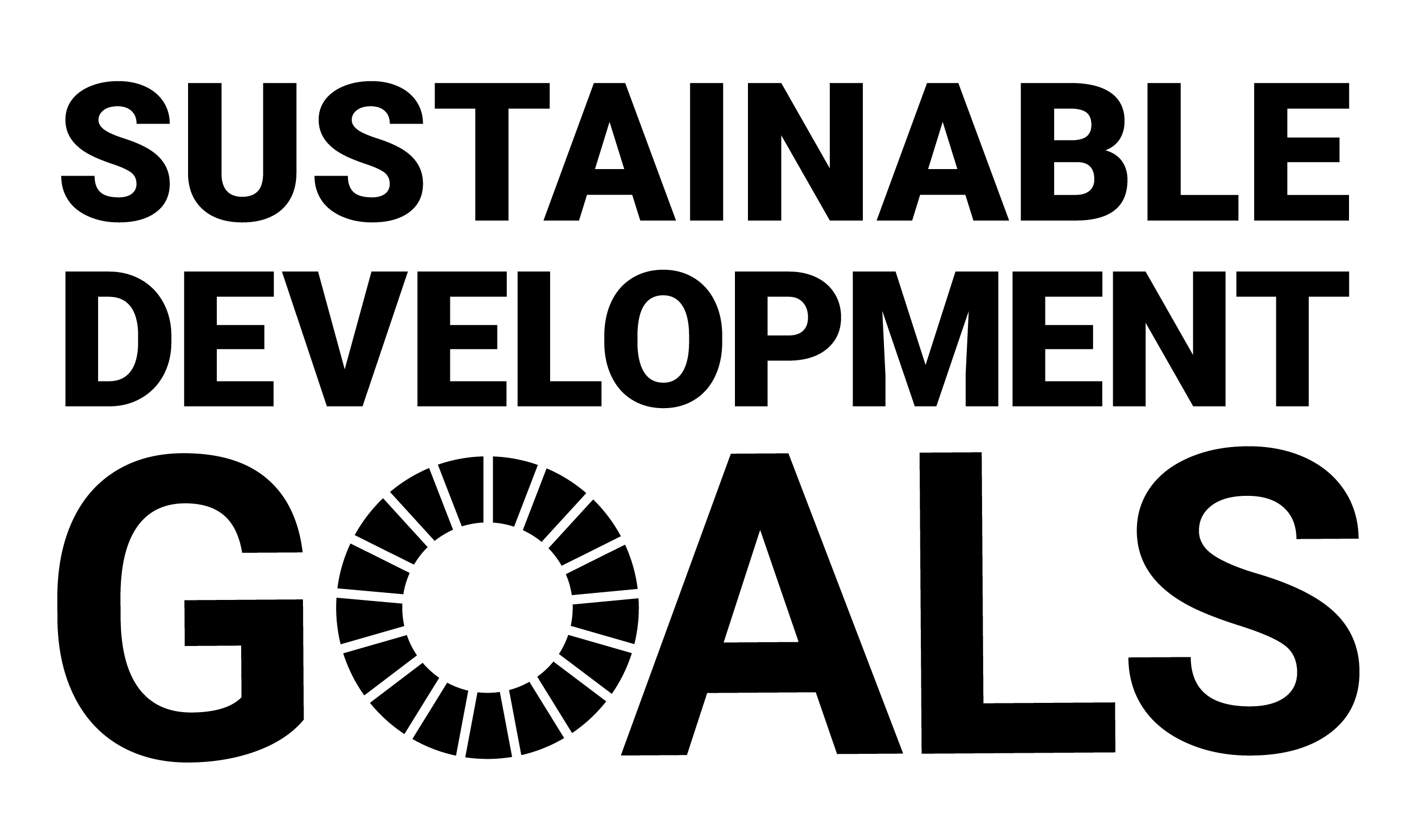UN SDG logo